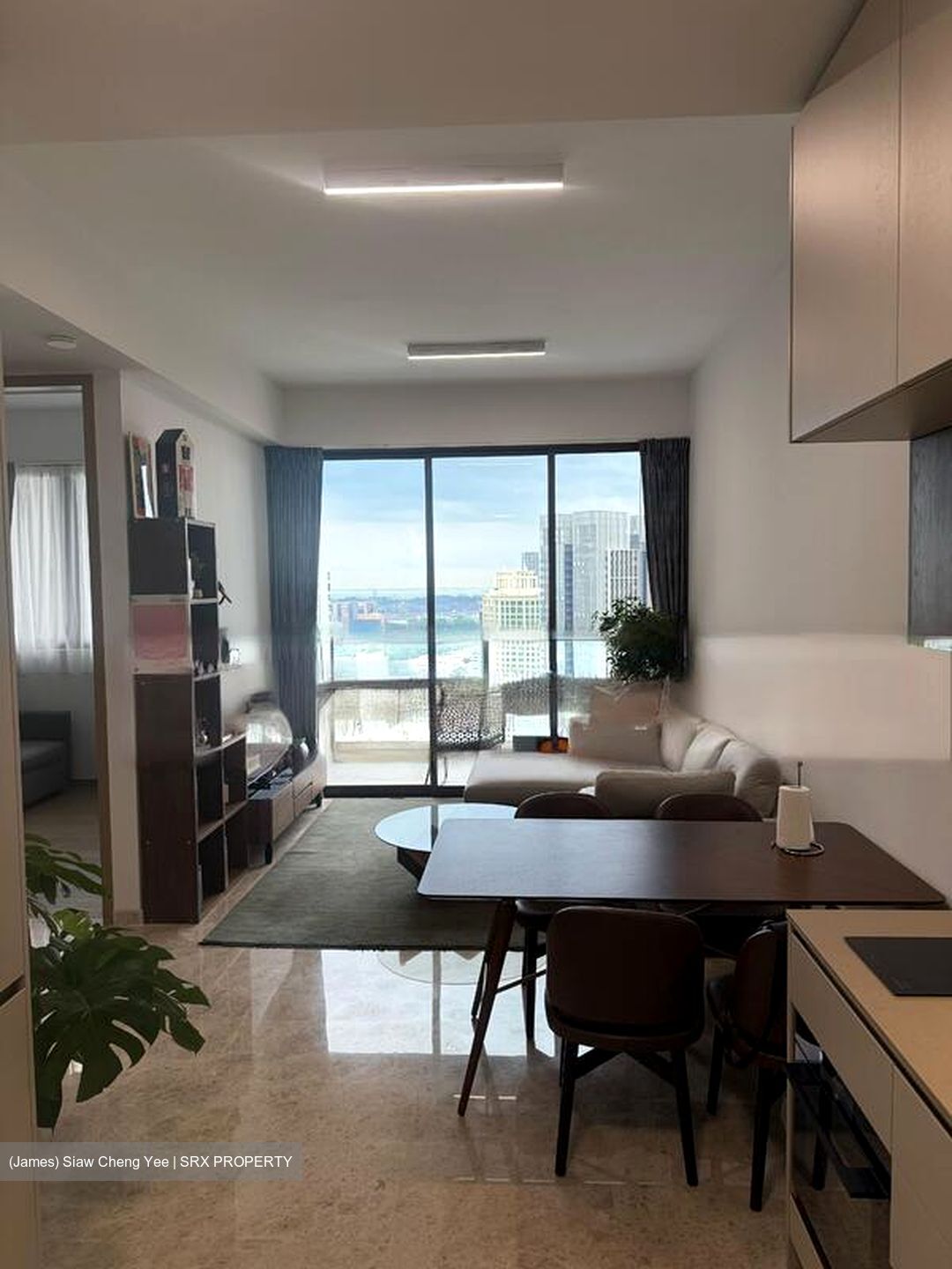 The Avenir (D9), Condominium #502424671